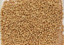 Бисер Чехия круглый 10/0 500г 18581 терра металлик золотой